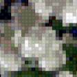 Preview of cross stitch pattern: #631714