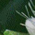 Preview of cross stitch pattern: #632635