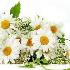 Cross stitch pattern: #632636