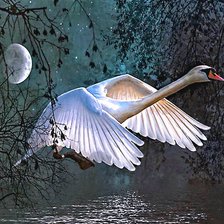 Cross stitch pattern: #632848