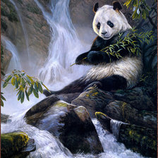 Cross stitch pattern: #632927