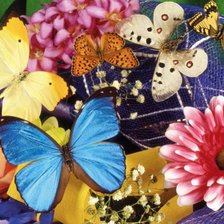Cross stitch pattern: #632957