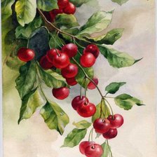 Cross stitch pattern: #632970