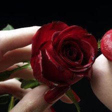 Cross stitch pattern: #633307