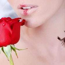 Cross stitch pattern: #633318