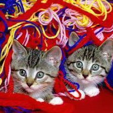 Cross stitch pattern: #633389