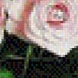 Preview of cross stitch pattern: #633414