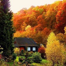 Cross stitch pattern: #633459