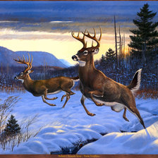 Cross stitch pattern: #634491