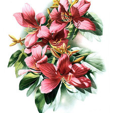 Cross stitch pattern: #634496