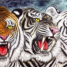Cross stitch pattern: #635536
