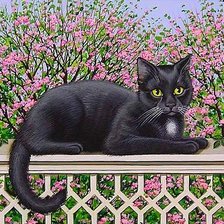 Cross stitch pattern: #635621