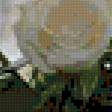Preview of cross stitch pattern: #636836