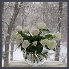 Cross stitch pattern: #636836