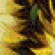 Preview of cross stitch pattern: #636993