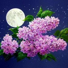 Cross stitch pattern: #637120