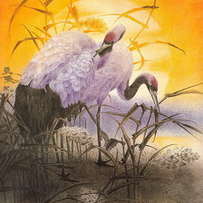 Cross stitch pattern: #637325