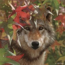 Cross stitch pattern: #637442