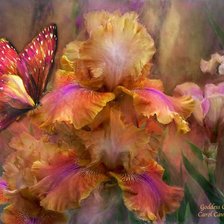 Cross stitch pattern: #637509