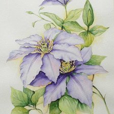 Cross stitch pattern: #637517