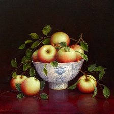 Cross stitch pattern: #637982