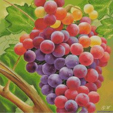 Cross stitch pattern: #637985