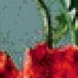 Preview of cross stitch pattern: #638055