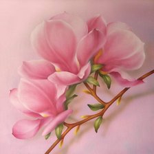 Cross stitch pattern: #638077