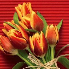 Cross stitch pattern: #638274