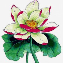 Cross stitch pattern: #638967