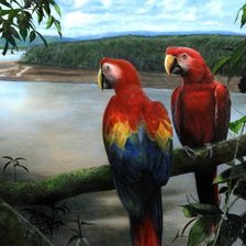 Cross stitch pattern: #639029