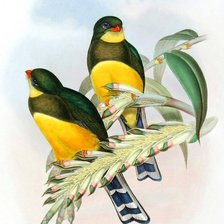 Cross stitch pattern: #639044