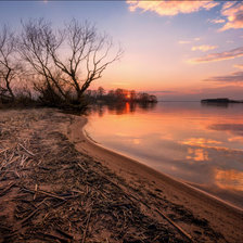 Cross stitch pattern: #639060