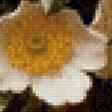 Preview of cross stitch pattern: #639151