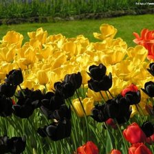 Cross stitch pattern: #639259