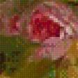 Preview of cross stitch pattern: #639462