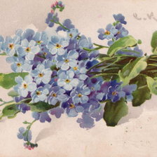 Cross stitch pattern: #639611