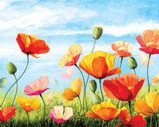 Cross stitch pattern: #639898