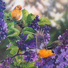 Cross stitch pattern: #639921