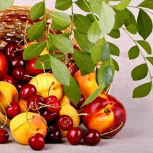 Cross stitch pattern: #639945