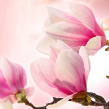 Cross stitch pattern: #639947