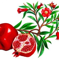 Cross stitch pattern: #640163