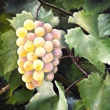 Cross stitch pattern: #640173