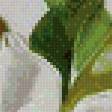 Preview of cross stitch pattern: #640493
