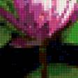 Preview of cross stitch pattern: #640583
