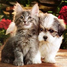 Cross stitch pattern: #640818