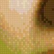 Preview of cross stitch pattern: #641620