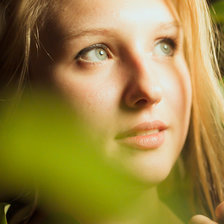 Cross stitch pattern: #641620