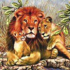 Cross stitch pattern: #641706