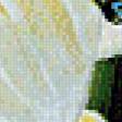 Preview of cross stitch pattern: #641717